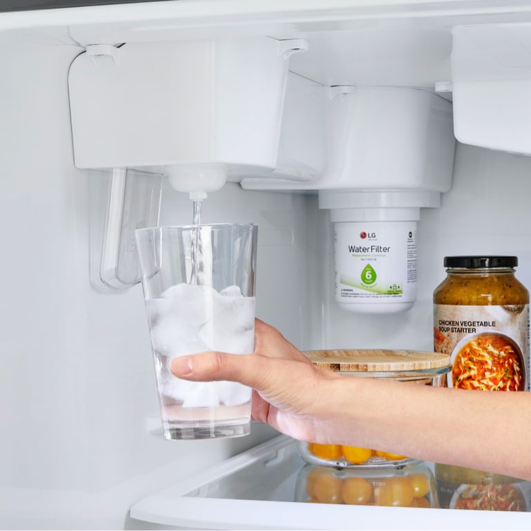 LG 24 cu. ft. Top Freezer Refrigerator (LRTLS2403S) LG USA